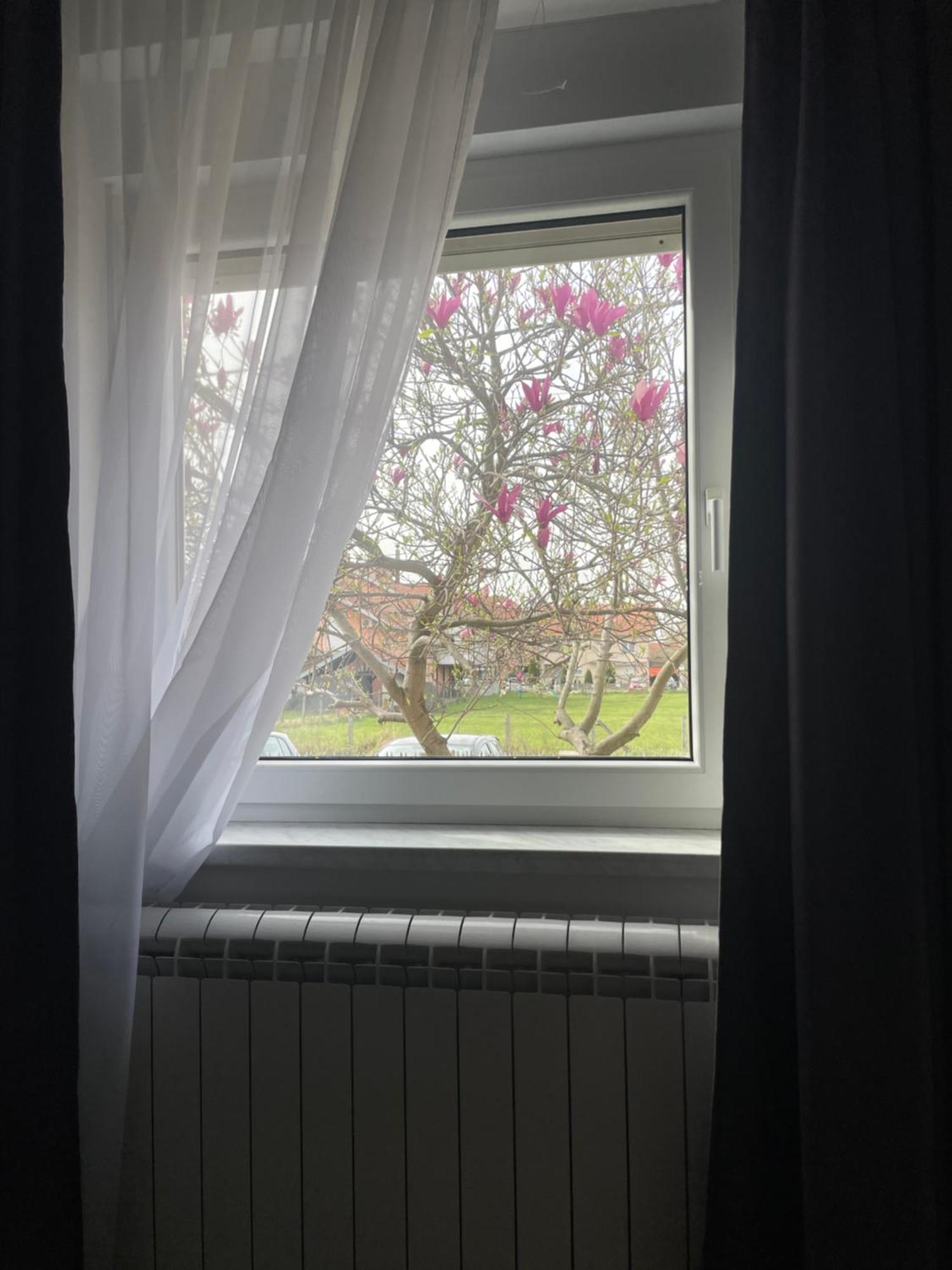 Deluxe Apartment Magnolia 2 Beograd Eksteriør billede